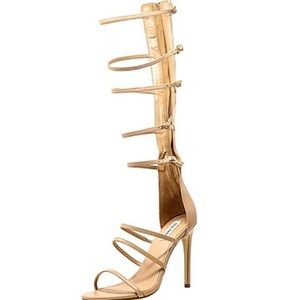 Steve Madden Cibel Knee high leather pump 😩🥂